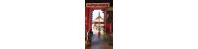 சுப்பிரமணிய சுவாமி கோயில் - ஹரிப்பாடு 